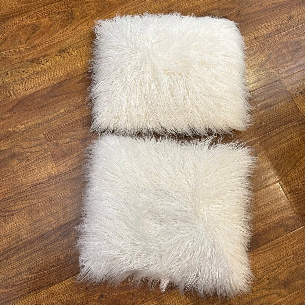 Pottery Barn white furry pillow set